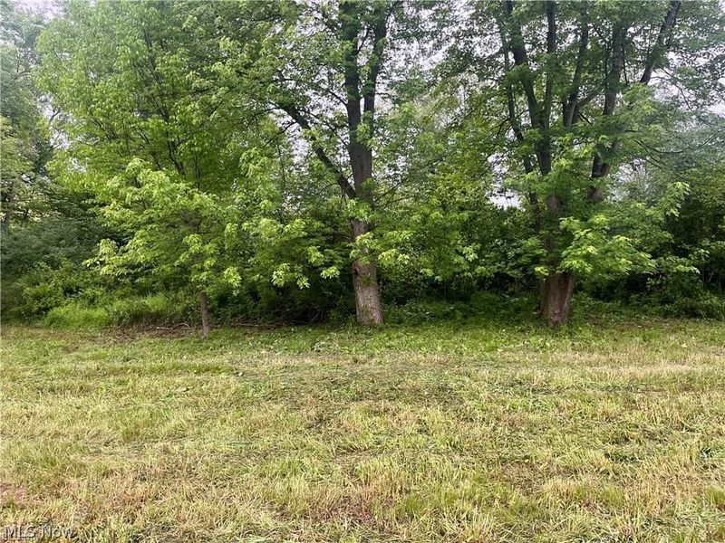 10280 Morges Drive, Waynesburg, OH 44688 Photo 5