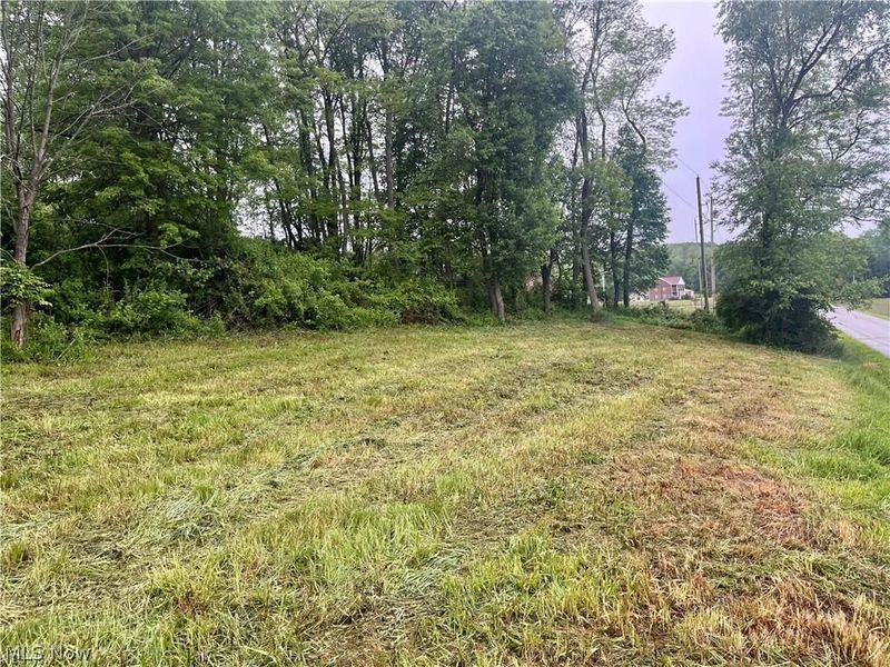 10280 Morges Drive, Waynesburg, OH 44688 Photo 7