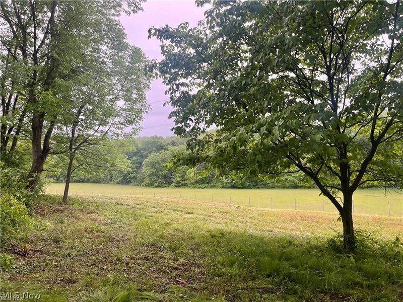 10280 Morges Drive, Waynesburg, OH 44688 Photo 9