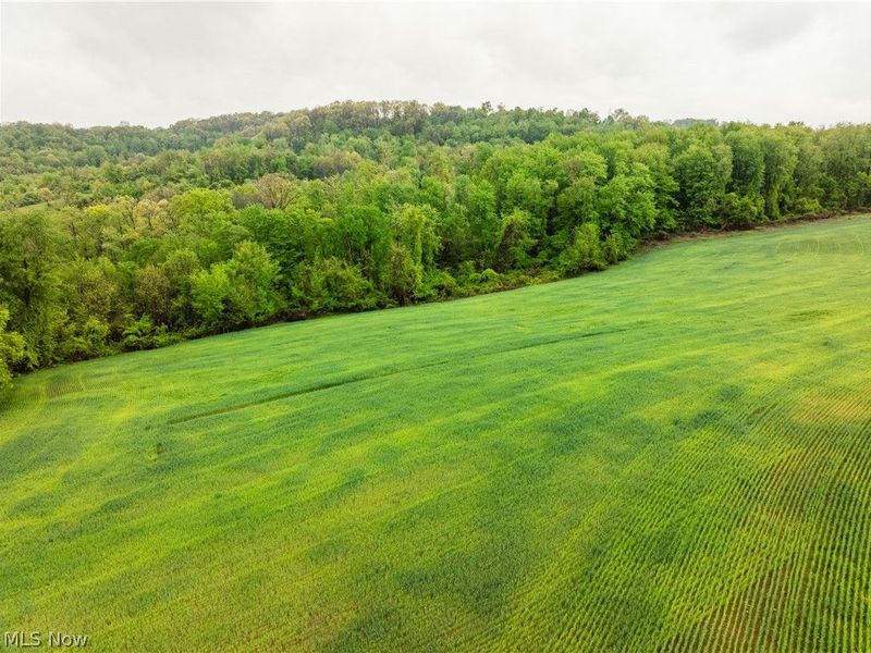 28425 Township Road 421, Fresno, OH 43824 Photo 24