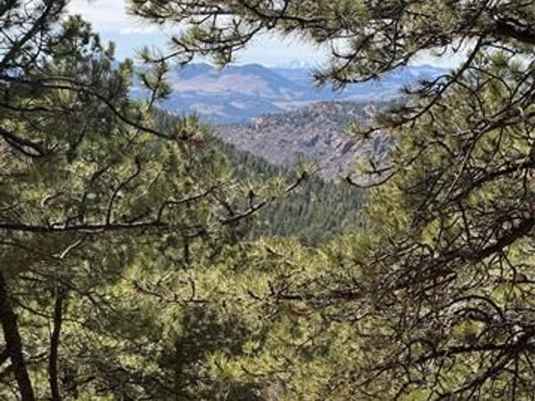 288 Troy Drive, Cripple Creek, CO 80813