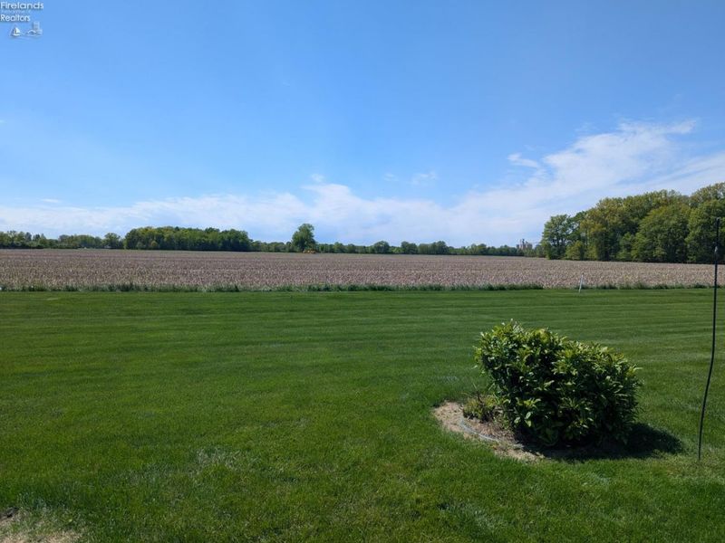 331 Country Meadows Drive, Oak Harbor, OH 43449 Photo 20