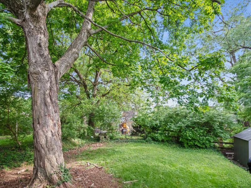2425 St Albans Avenue, Golf Manor, OH 45237 Photo 14