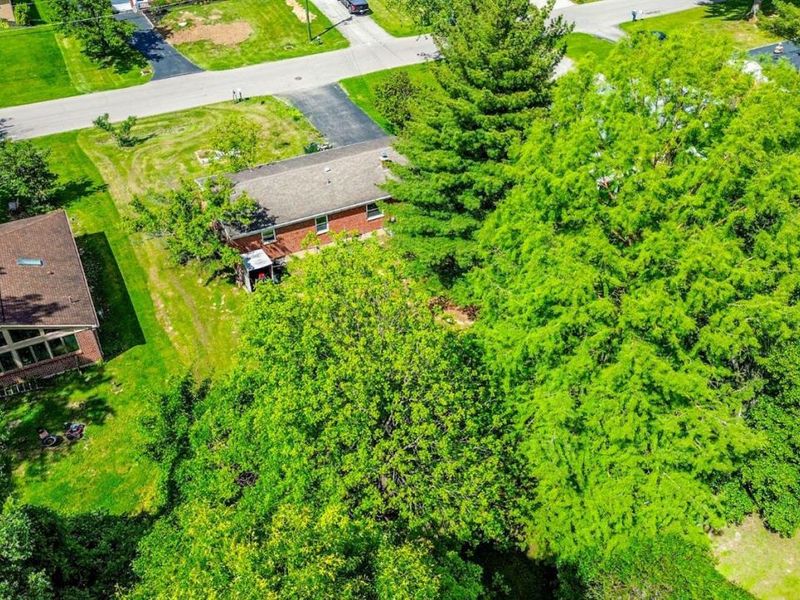 9315 Greenhedge Lane, Symmes Township, OH 45140 Photo 34