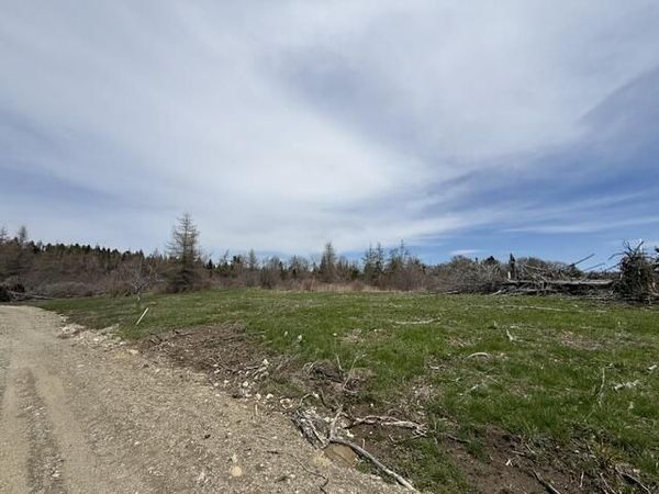 Lot 1 Holmes Bay Farms Road , Whiting, ME 04691
