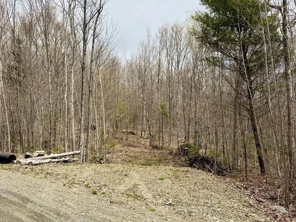 Lot 2 Mooseley Ridge Road , Phillips, ME 04966