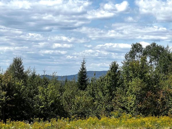 28 Bushey Road , Greenville, ME 04441