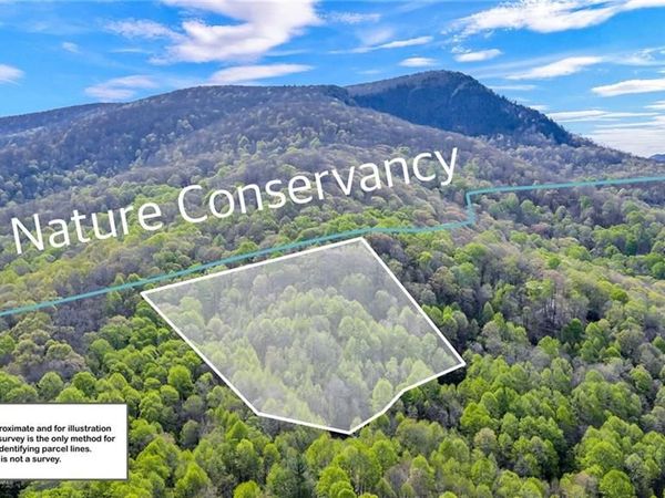 TBD Bluff Canyon Drive, West Jefferson, NC 28694