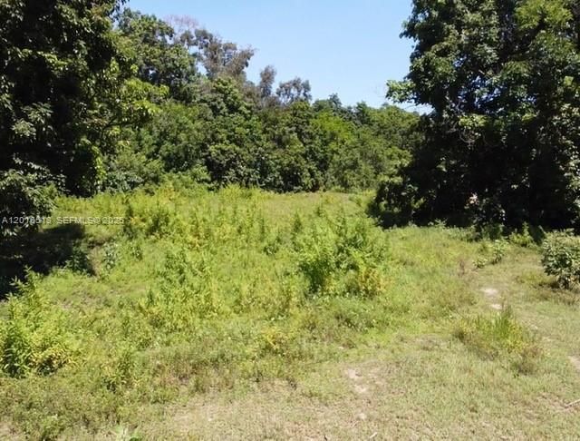 Na Luray Rd , Southwest Ranches, FL 33330 Photo