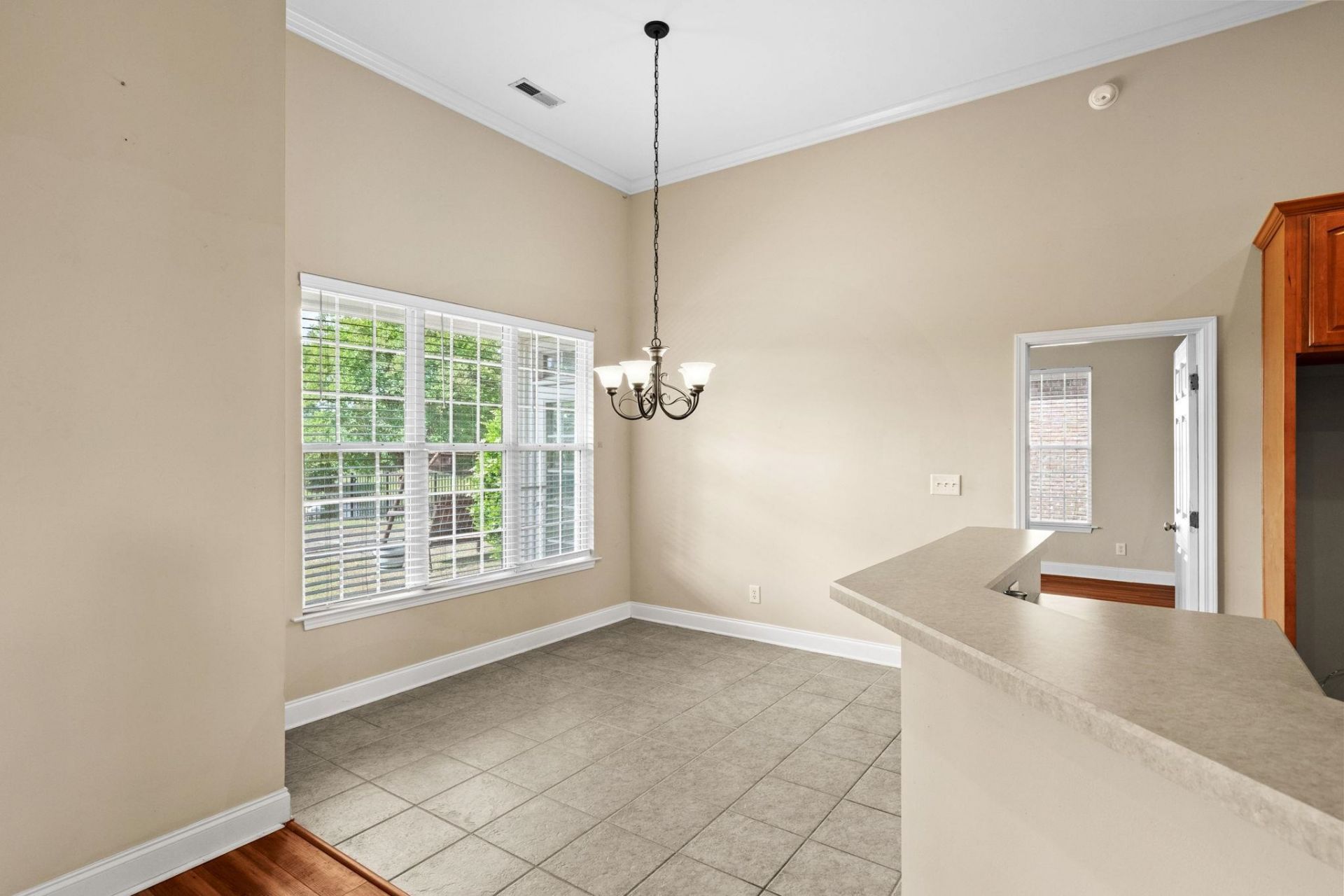 542 Stonemason Dr. Photo 21