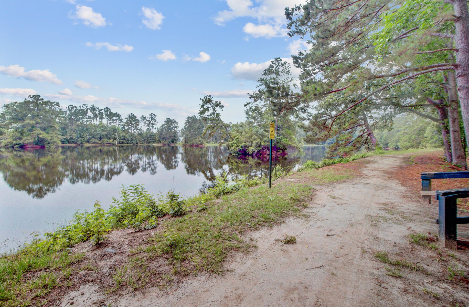 352 Herty Park Drive Photo 56