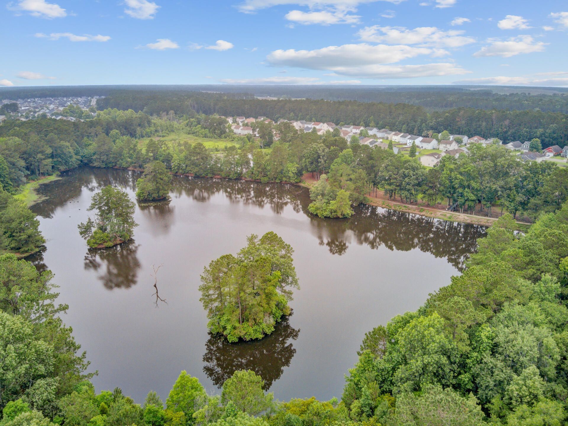 352 Herty Park Drive Photo 57