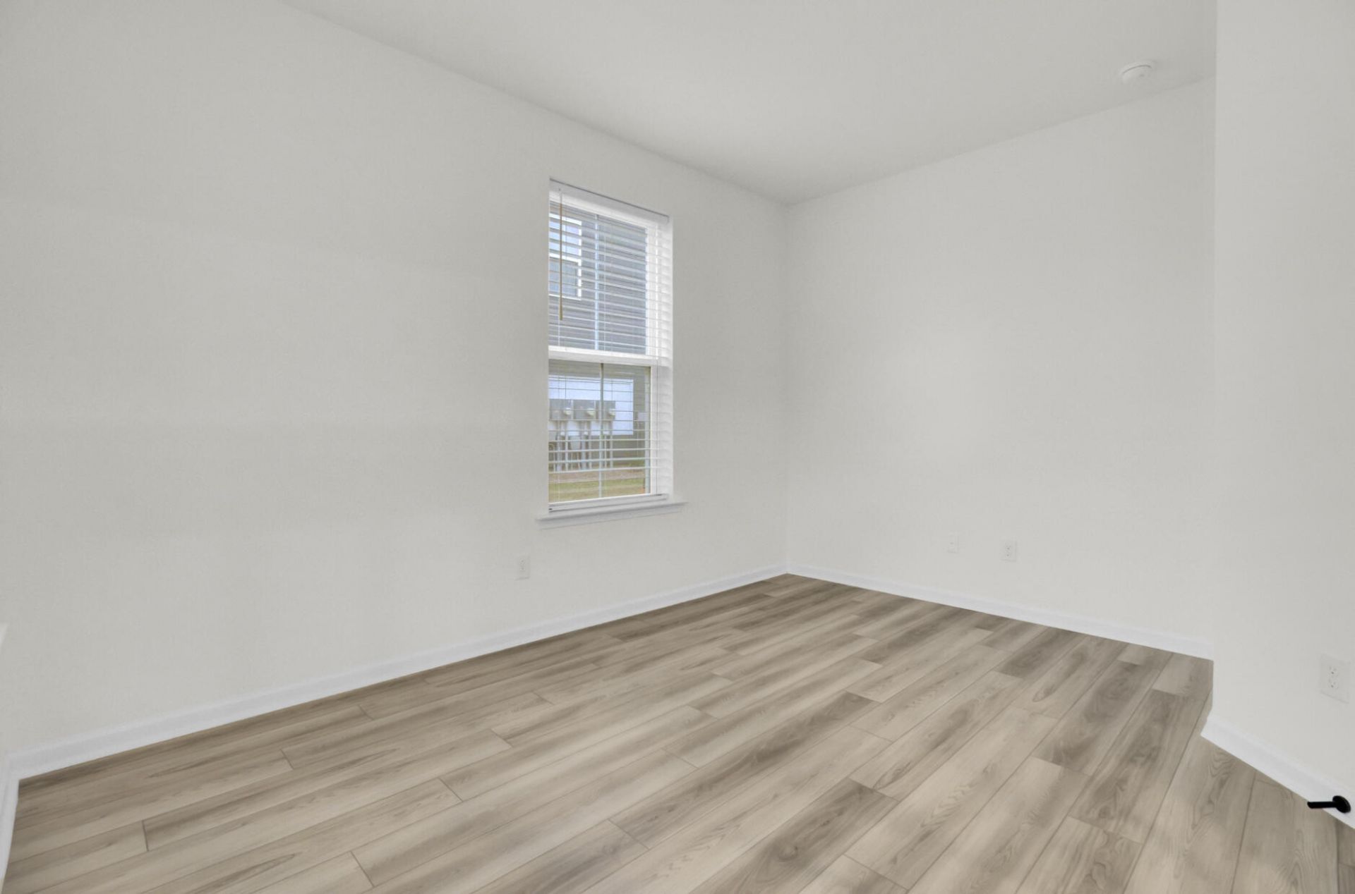 352 Herty Park Drive Photo 7