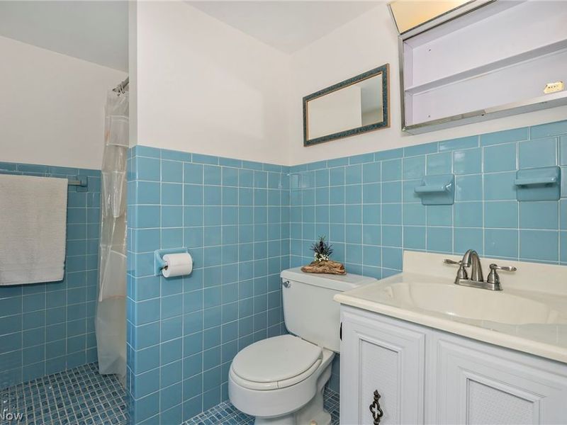 2528 Ashurst Road, University Heights, OH 44118 Photo 38