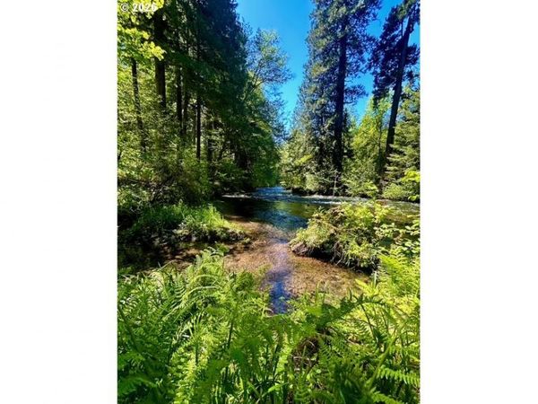 McKenzie HWY, McKenzie Bridge, OR 97413