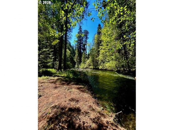 McKenzie HWY, McKenzie Bridge, OR 97413