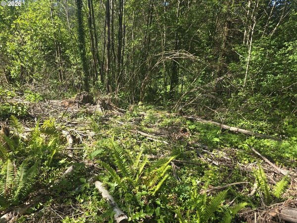 Bear RD, Elsie, OR 97138