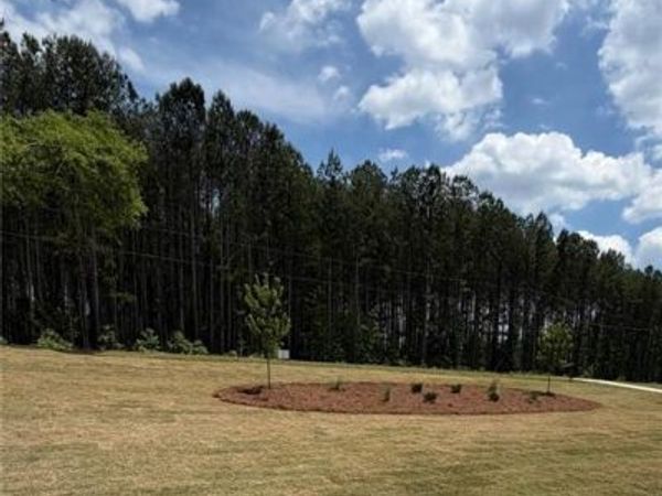 1719 Cornish Mountain Ch Road, Oxford, GA 30054