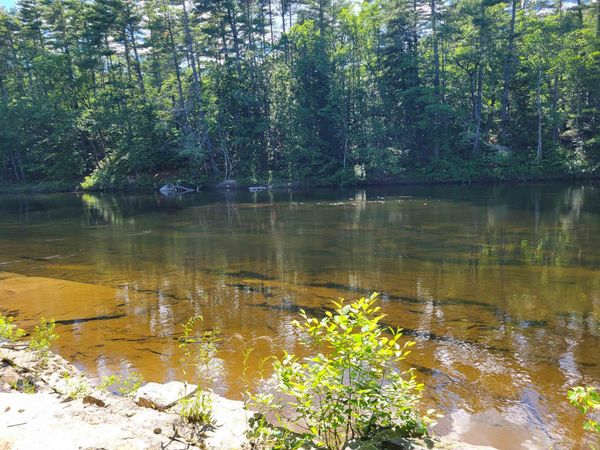 56 Bryant Drive, Conway, NH 03818