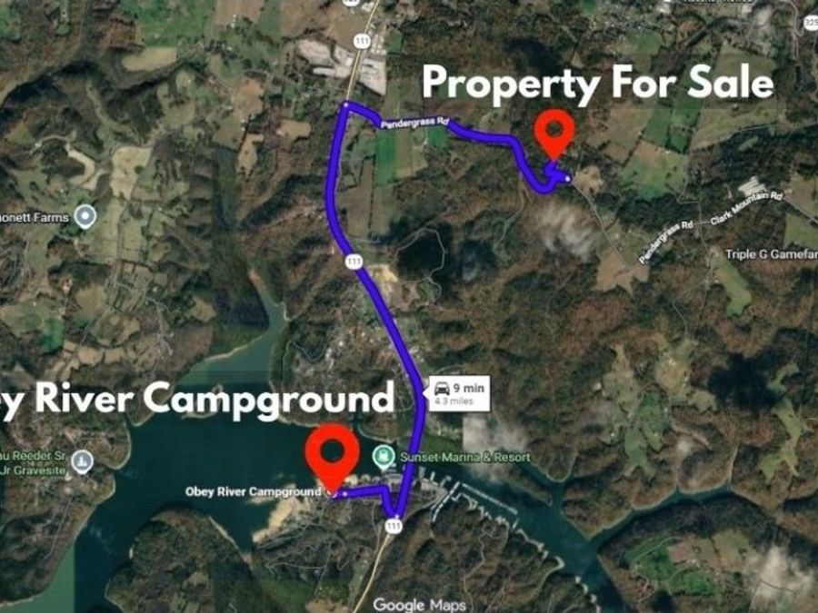 Property Image 6