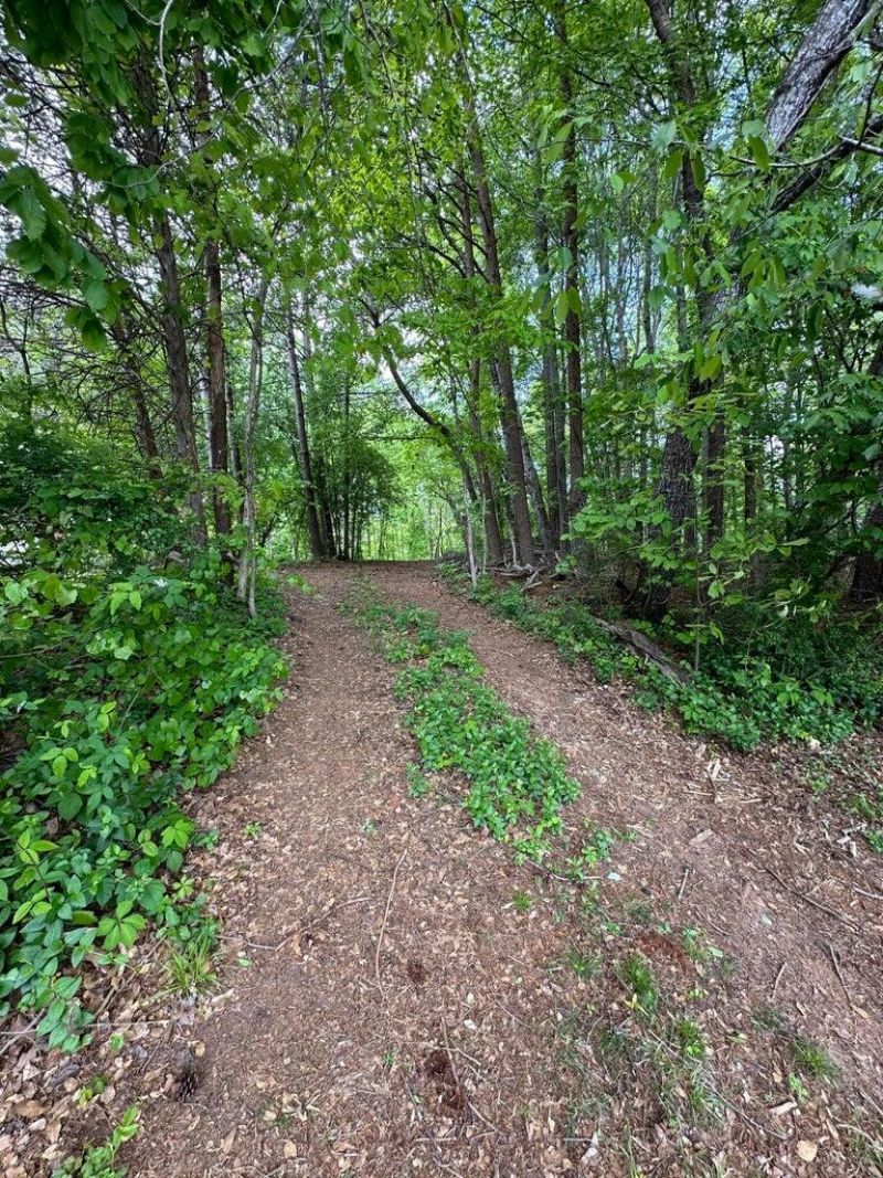 5512 Barrington Country Circle, Ooltewah, TN 37363 Main Photo