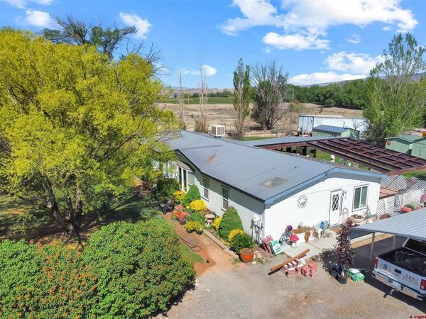 5955 Sawmill Mesa Road, Delta, CO 81416