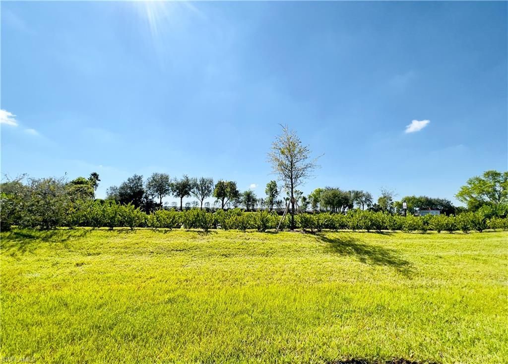 14297 Oviedo Place , Unit 14297, Fort Myers, FL 33905 Photo