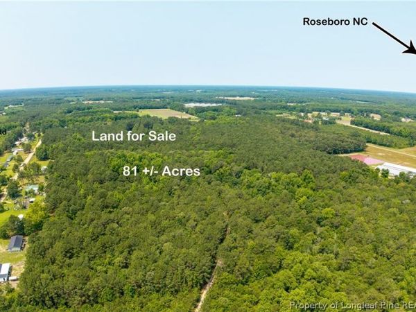 Big Piney Grove Road, Clinton, NC 28328