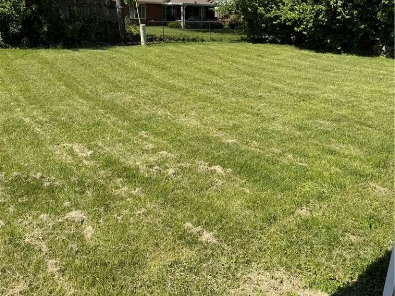 1935 Campus Drive, Fairborn, OH 45324 Photo 24