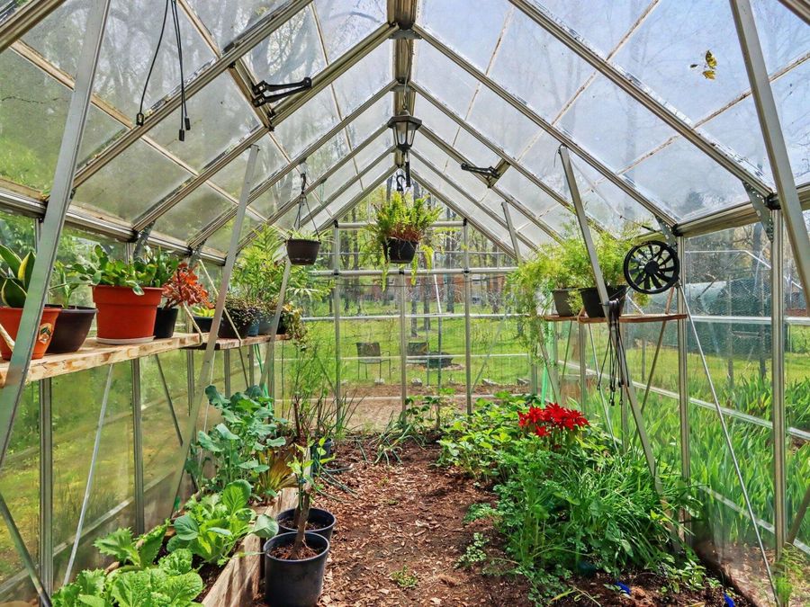 Property Image 23