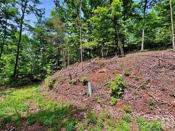 350 Springvalley Drive , Rutherfordton, NC 28139