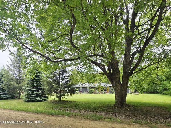 7694 N Meridian Road, Elsie, MI 48831