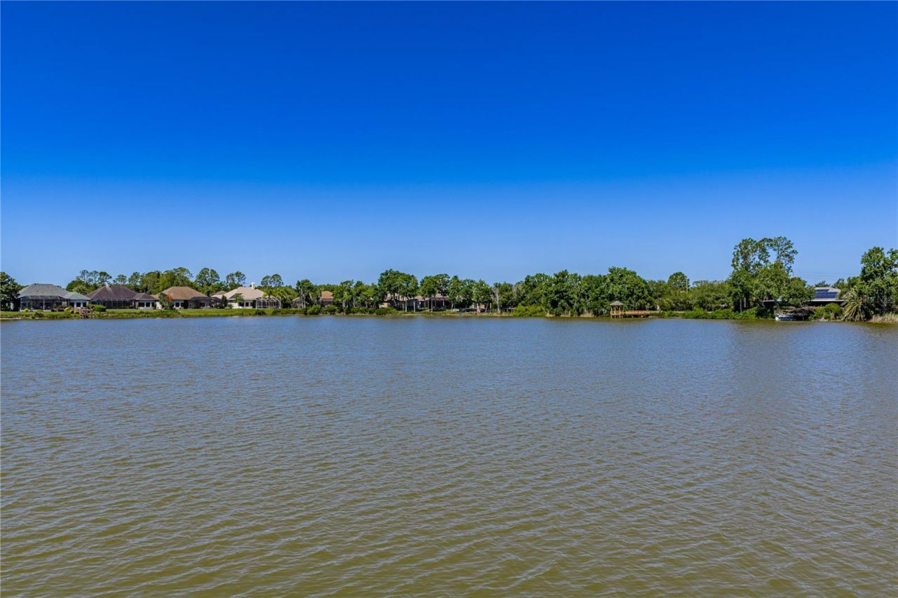 6743 Sunset Vista Way , Land O Lakes, FL 34637 Photo