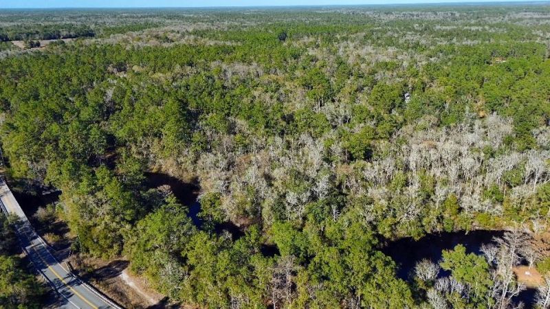 0 Cherokee Drive, Sopchoppy, FL 32358 Photo