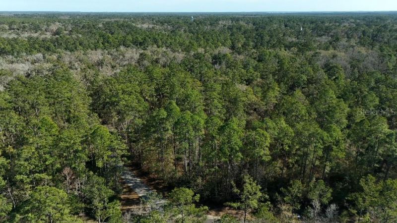 0 Cherokee Drive, Sopchoppy, FL 32358 Photo
