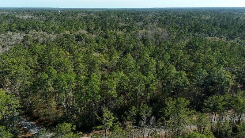 0 Cherokee Drive, Sopchoppy, FL 32358 Photo