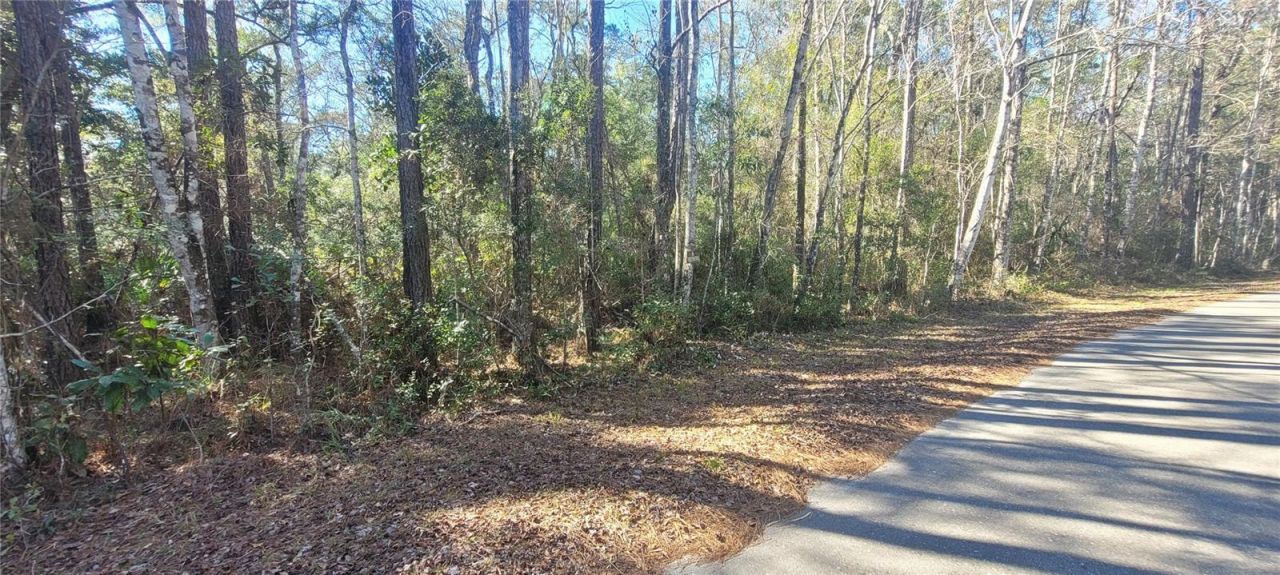0 Cherokee Drive, Sopchoppy, FL 32358 Photo