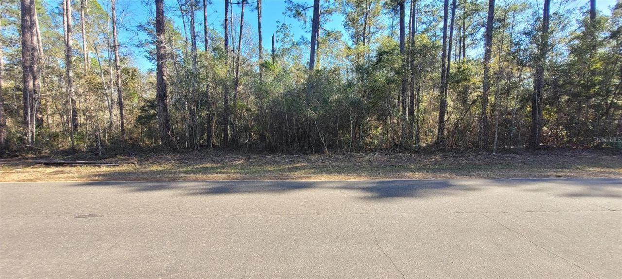 0 Cherokee Drive, Sopchoppy, FL 32358 Photo