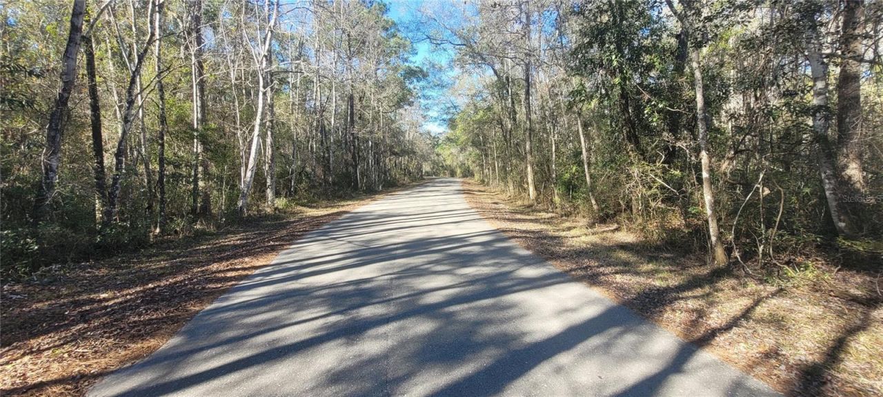 0 Cherokee Drive, Sopchoppy, FL 32358 Photo