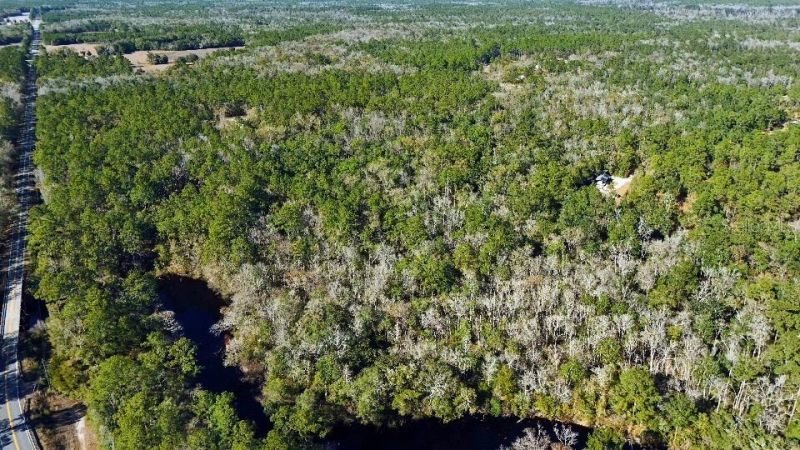 0 Cherokee Drive, Sopchoppy, FL 32358 Photo