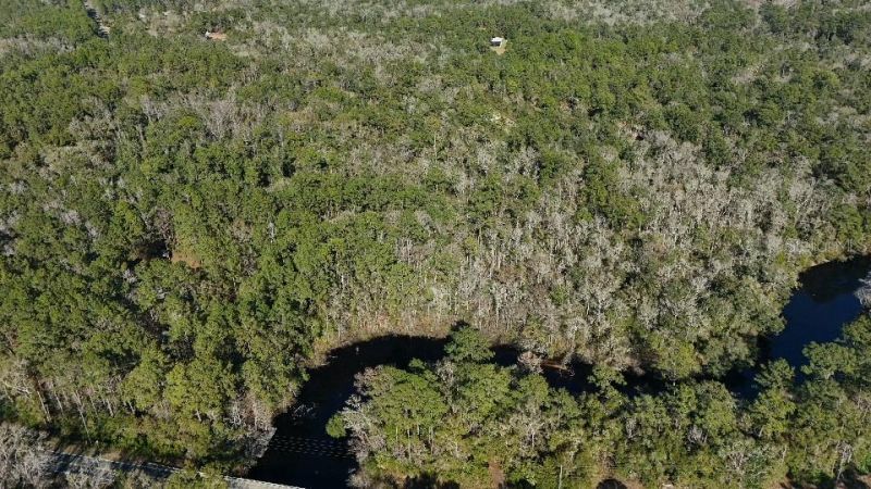 0 Cherokee Drive, Sopchoppy, FL 32358 Photo
