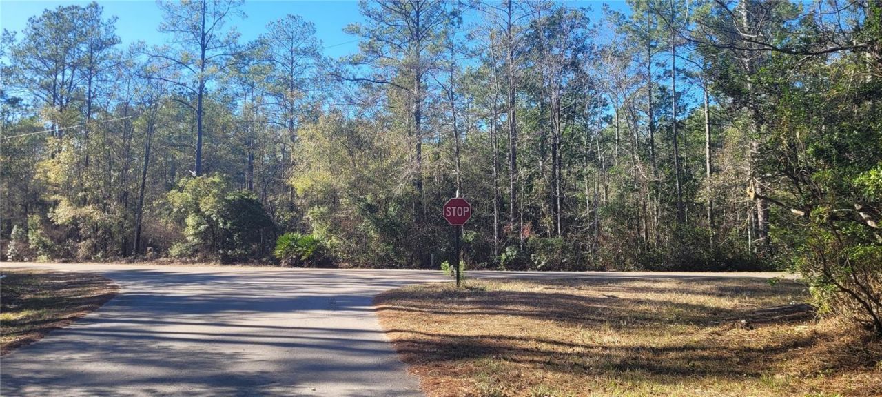 Cherokee Drive, Sopchoppy, FL 32358 Photo
