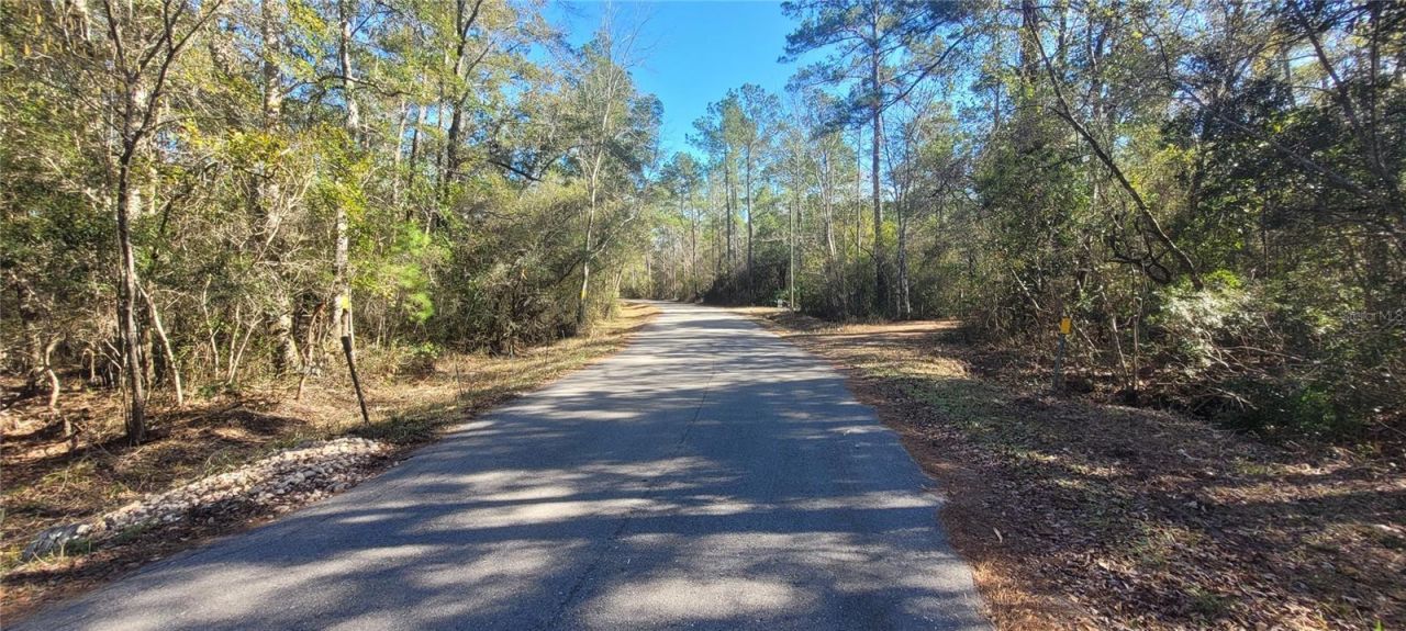 Cherokee Drive, Sopchoppy, FL 32358 Photo