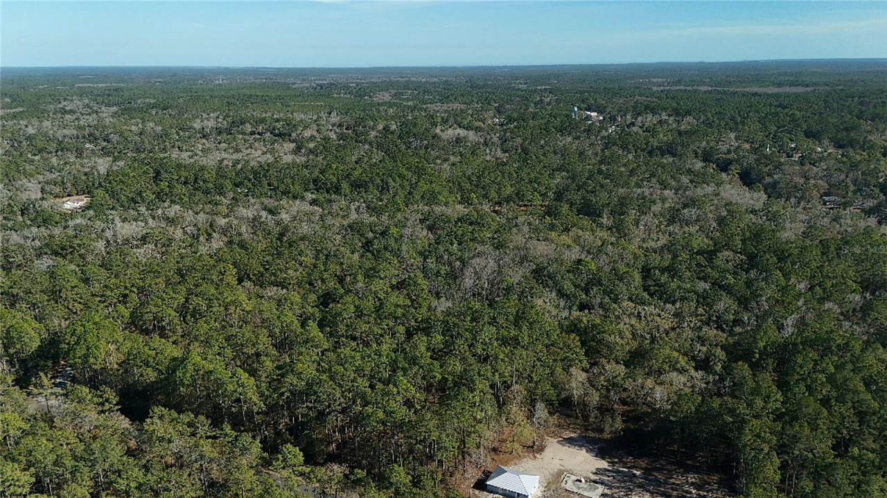 Cherokee Drive, Sopchoppy, FL 32358 Photo
