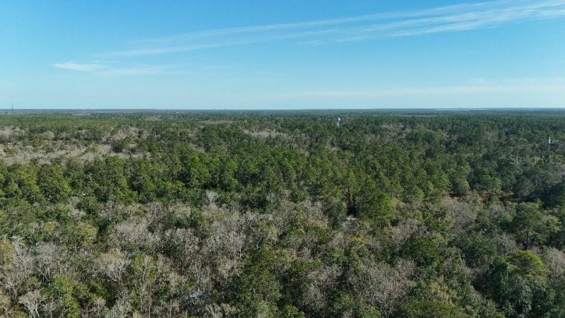 Cherokee Drive, Sopchoppy, FL 32358 Photo