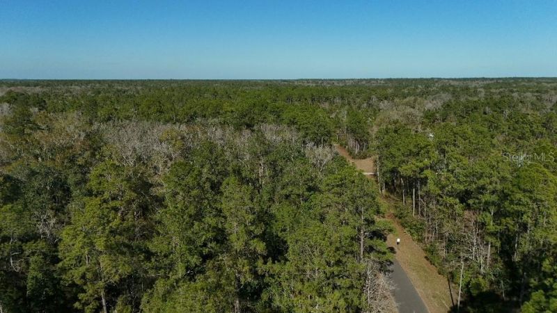 Cherokee Drive, Sopchoppy, FL 32358 Photo