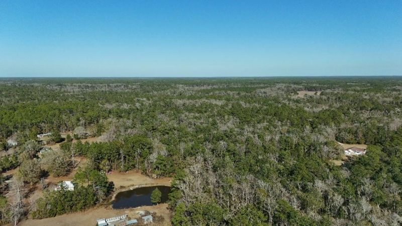 Cherokee Drive, Sopchoppy, FL 32358 Photo