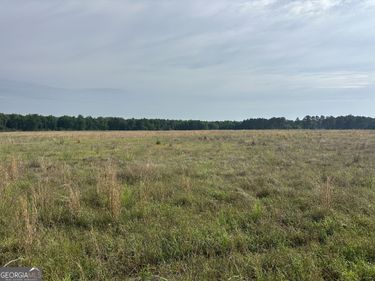 1309 Jarrell Pond Road, Sylvania, GA 30467