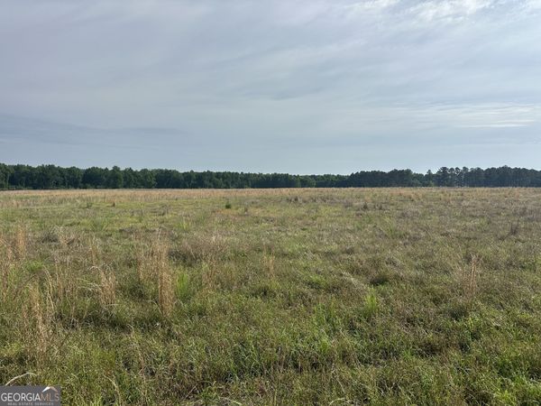 1309 Jarrell Pond Road, Sylvania, GA 30467