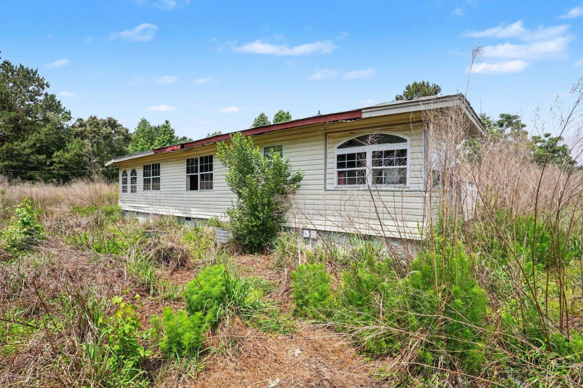 2149 Olive Dr.  Photo 16
